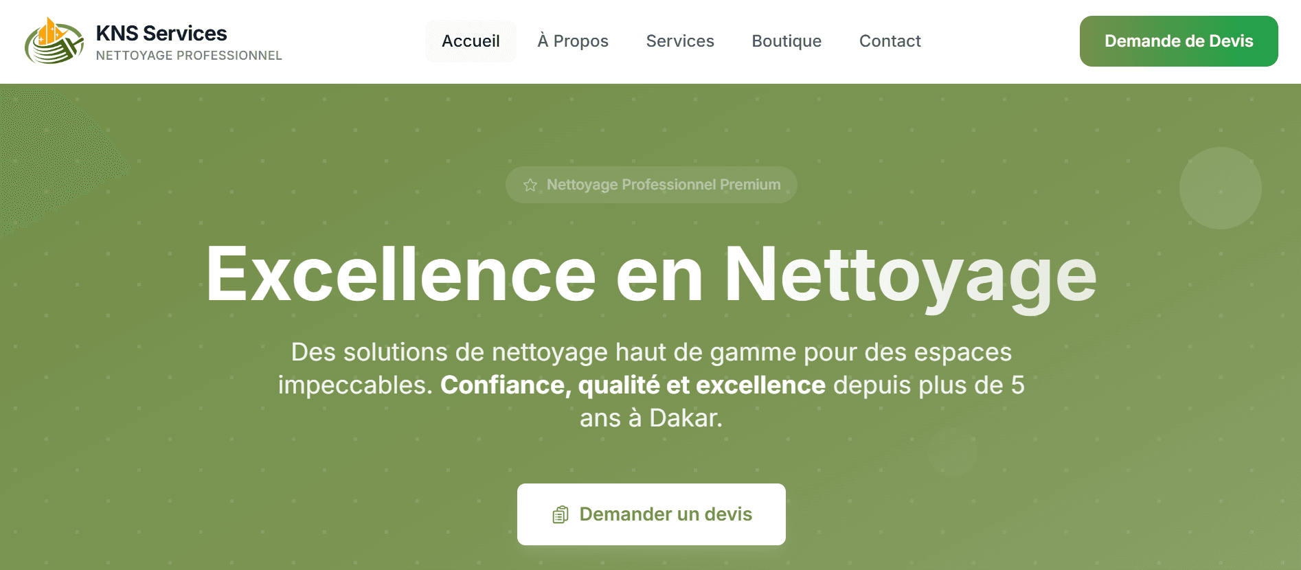 Screenshot 1 of project KNS Services