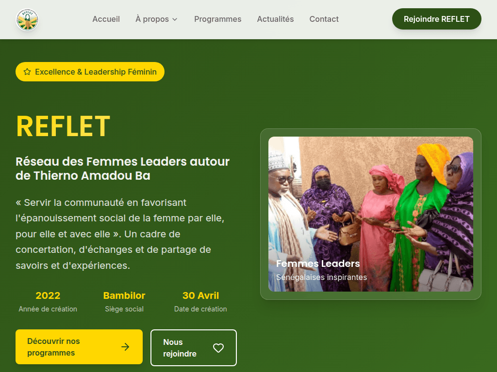 Screenshot 1 of project REFLET